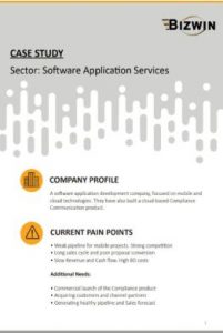 Software Application Services