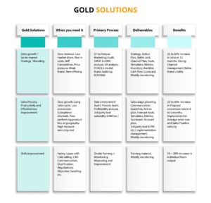 Bizwin Sales Management Consultancy | Gold Solutions